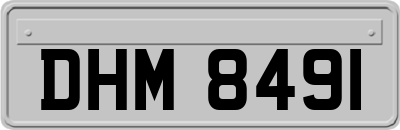 DHM8491