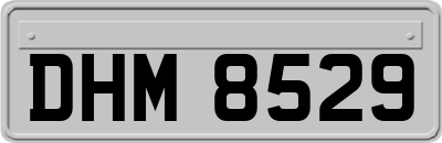 DHM8529