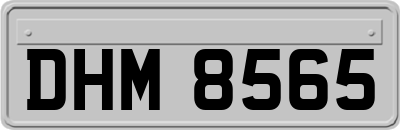 DHM8565