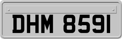DHM8591