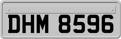 DHM8596