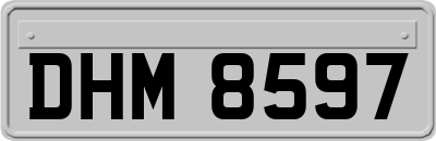 DHM8597