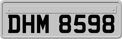 DHM8598