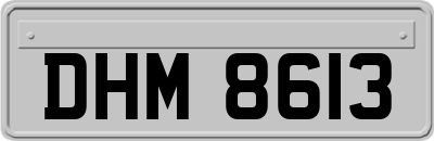 DHM8613