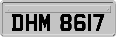DHM8617