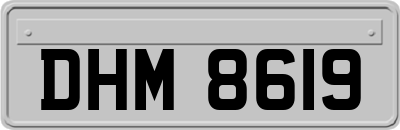 DHM8619
