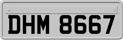 DHM8667