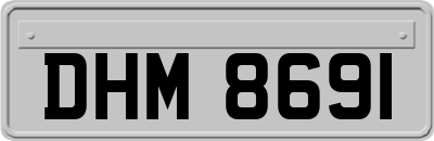 DHM8691