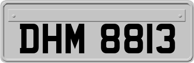 DHM8813