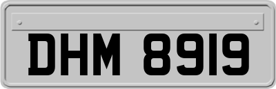 DHM8919
