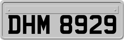 DHM8929