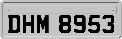 DHM8953