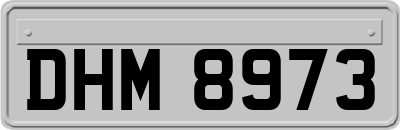 DHM8973