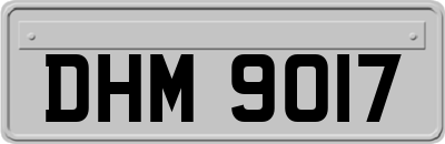 DHM9017