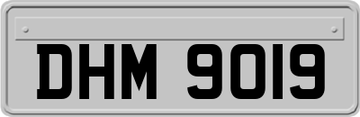 DHM9019