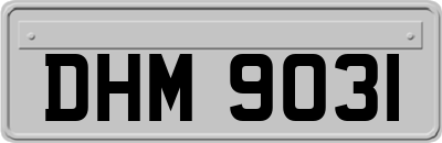 DHM9031