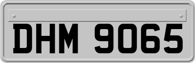 DHM9065