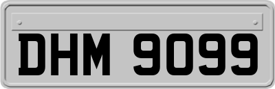 DHM9099