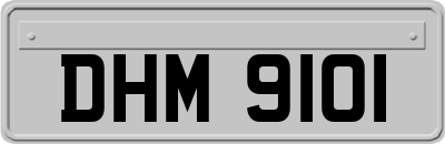 DHM9101