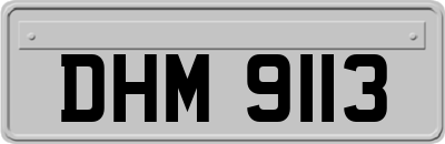 DHM9113