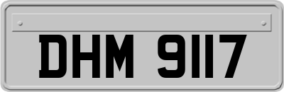 DHM9117