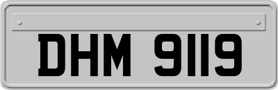DHM9119