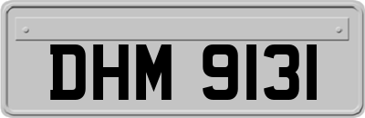 DHM9131