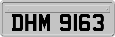 DHM9163