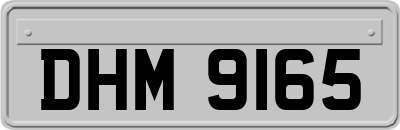 DHM9165