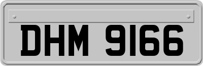 DHM9166