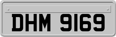 DHM9169