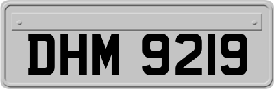 DHM9219