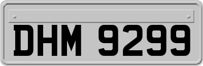 DHM9299
