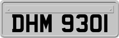 DHM9301