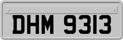 DHM9313