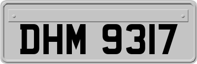 DHM9317