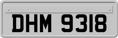 DHM9318