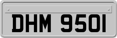 DHM9501