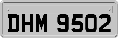 DHM9502