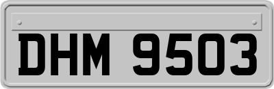 DHM9503