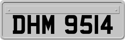 DHM9514