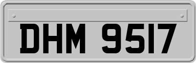 DHM9517
