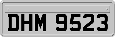 DHM9523
