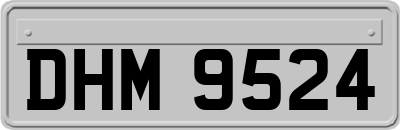 DHM9524