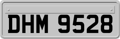DHM9528