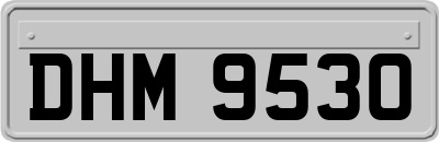 DHM9530