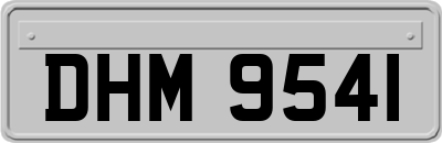 DHM9541