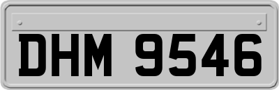 DHM9546