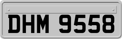 DHM9558