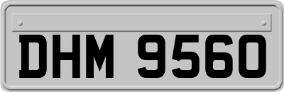 DHM9560